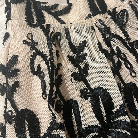 Anthropologie dRA Los Angeles embroidered Skirt XS - Picture 5 of 12